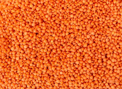 Red Lentils (masoor)